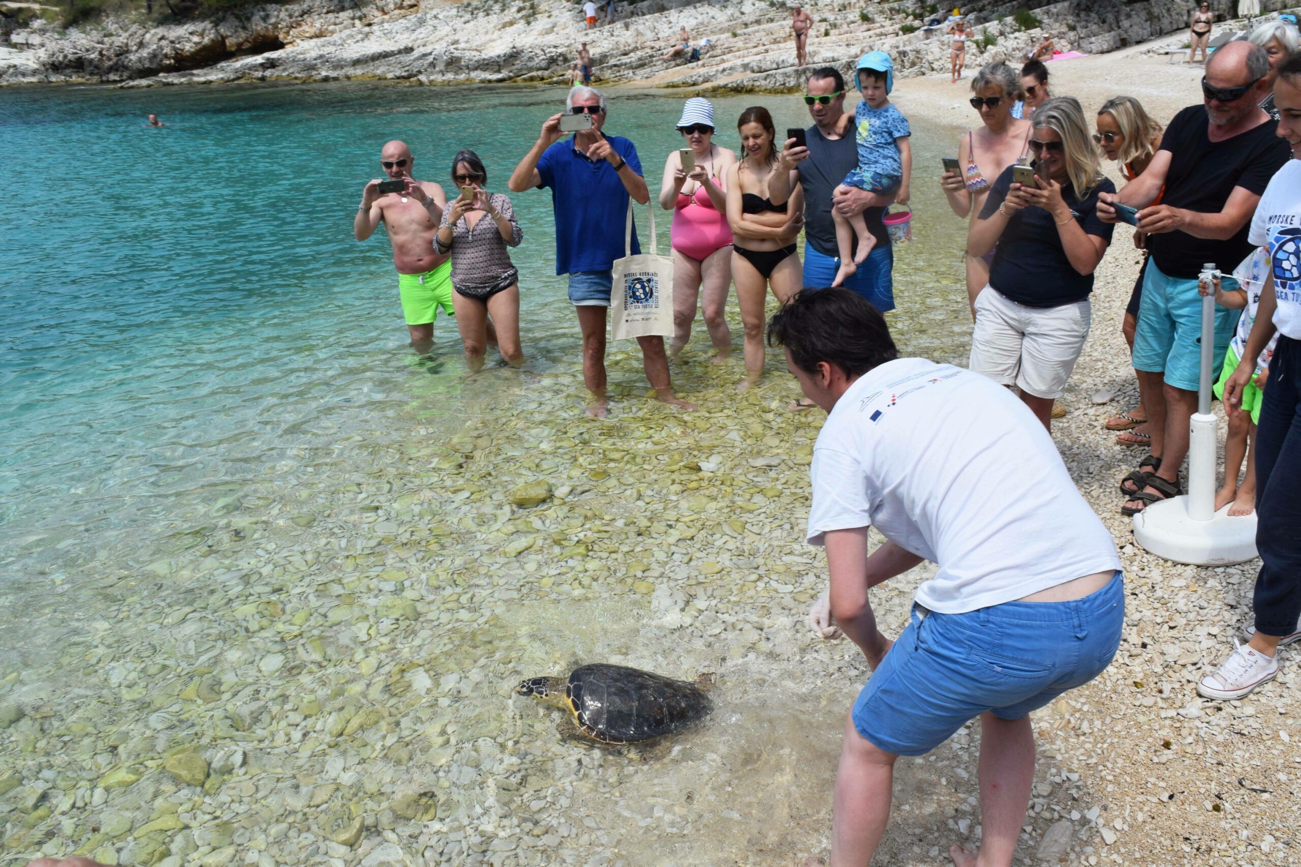 Spasonosna oaza za ozlijeđene želve: Posjetili smo Oporavilište za morske kornjače u Malom Lošinju