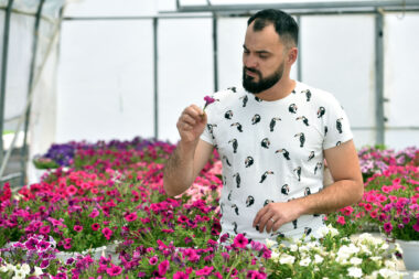 Foto: Davor Kovačević
