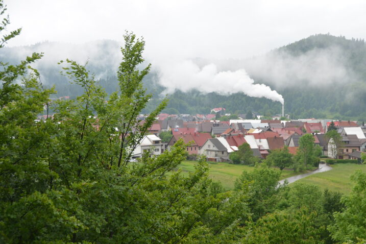 Zagađenje iz postrojenja Energy Pelletsa / Foto M. KRMPOTIĆ