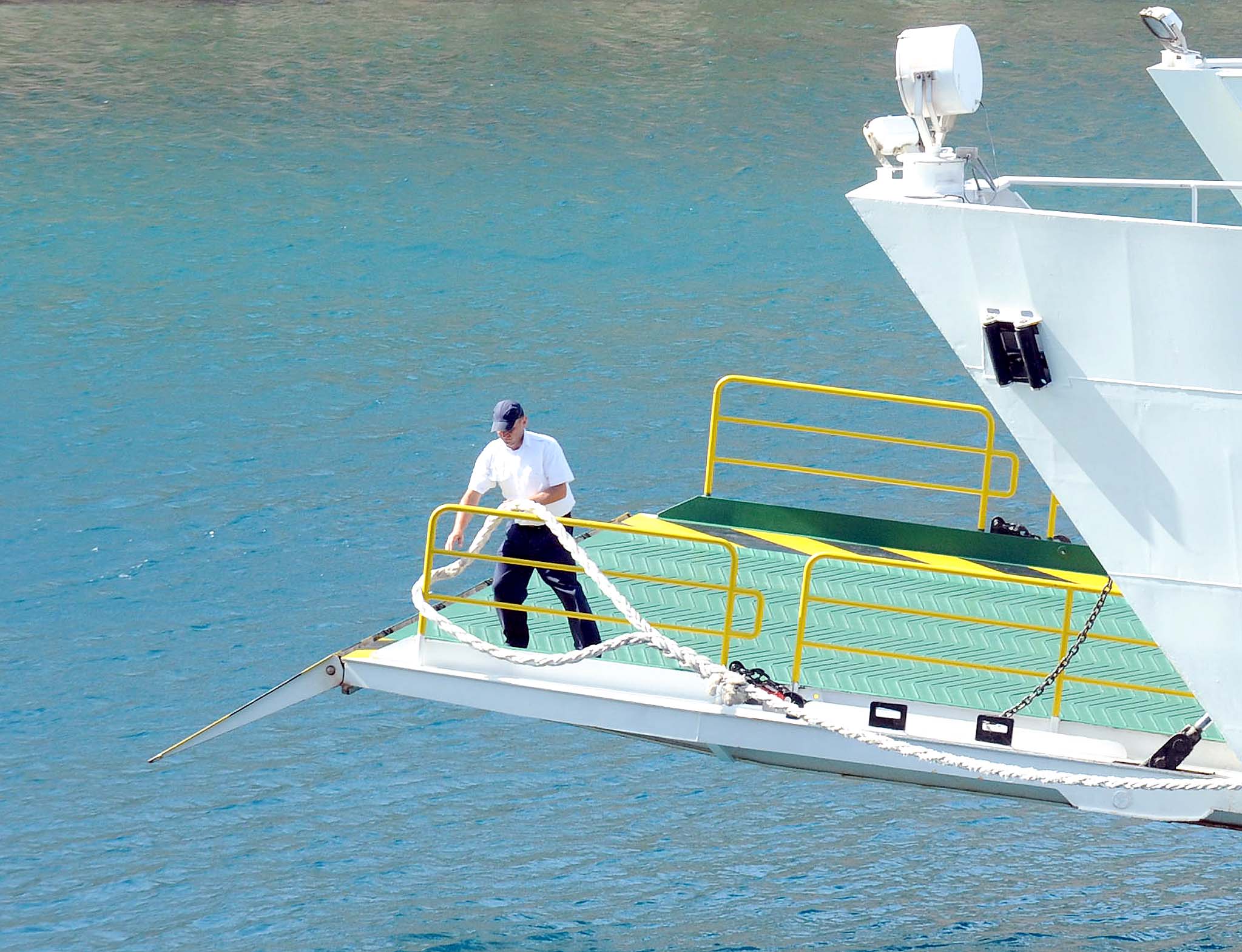 Lampuga se smatra jednom od najbržih migratorskih pučinskih riba. Evo ...