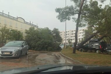 U Umagu nevrijeme srušilo stablo / Foto: EurostarUmag
