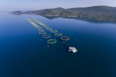 Cromaris: Uzgajalište Kudica