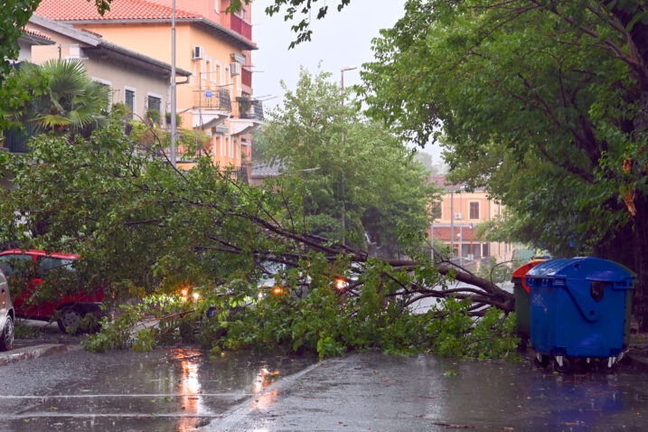 Snimio Vedran KARUZA