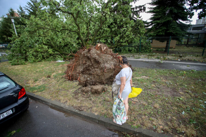 Photo: Zeljko Lukunic/PIXSELL