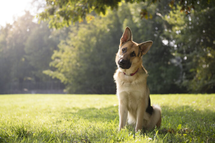 FOTO: iStock