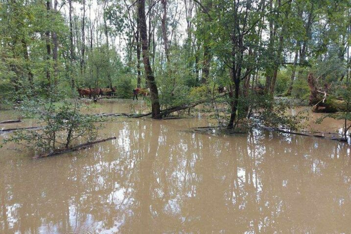 Foto Facebook, Udruga za zaštitu životinja Bijeli Očnjak