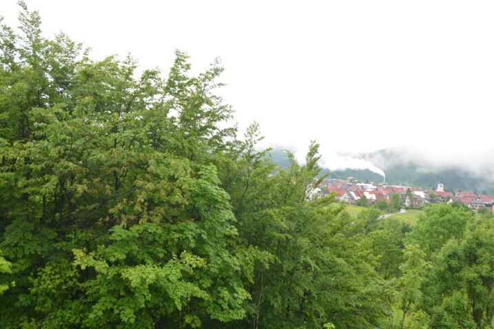 Žongrlet - vidikovac koji to nije / Foto M. KRMPOTIĆ