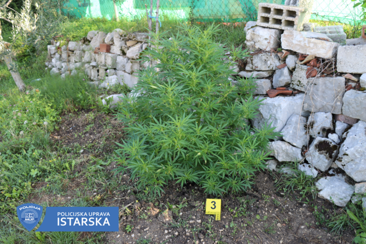 Foto: Pu istarska