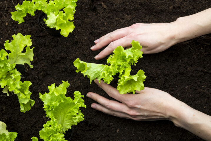 Foto: iStock