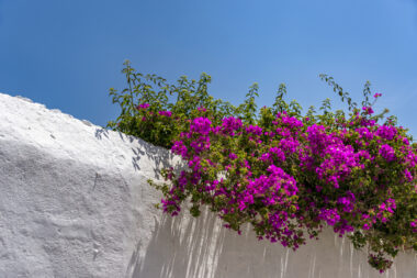 Foto: iStock
