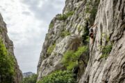 Foto: JULIEN DUVAL