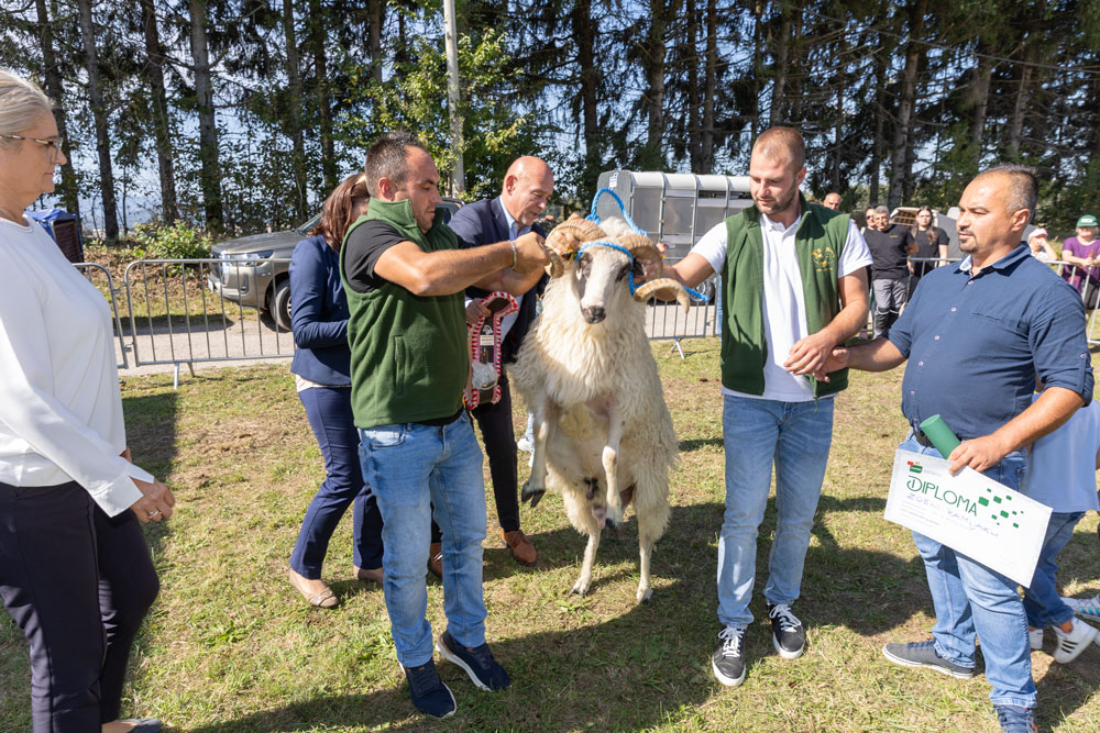  Zdeno Ramljak, ovan šampion