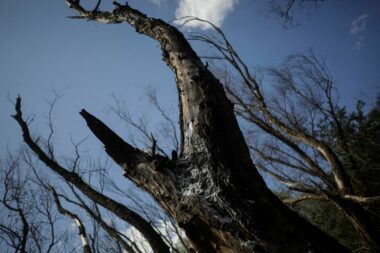 Foto Reuters