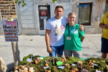 Foto Dorotea Prpić
