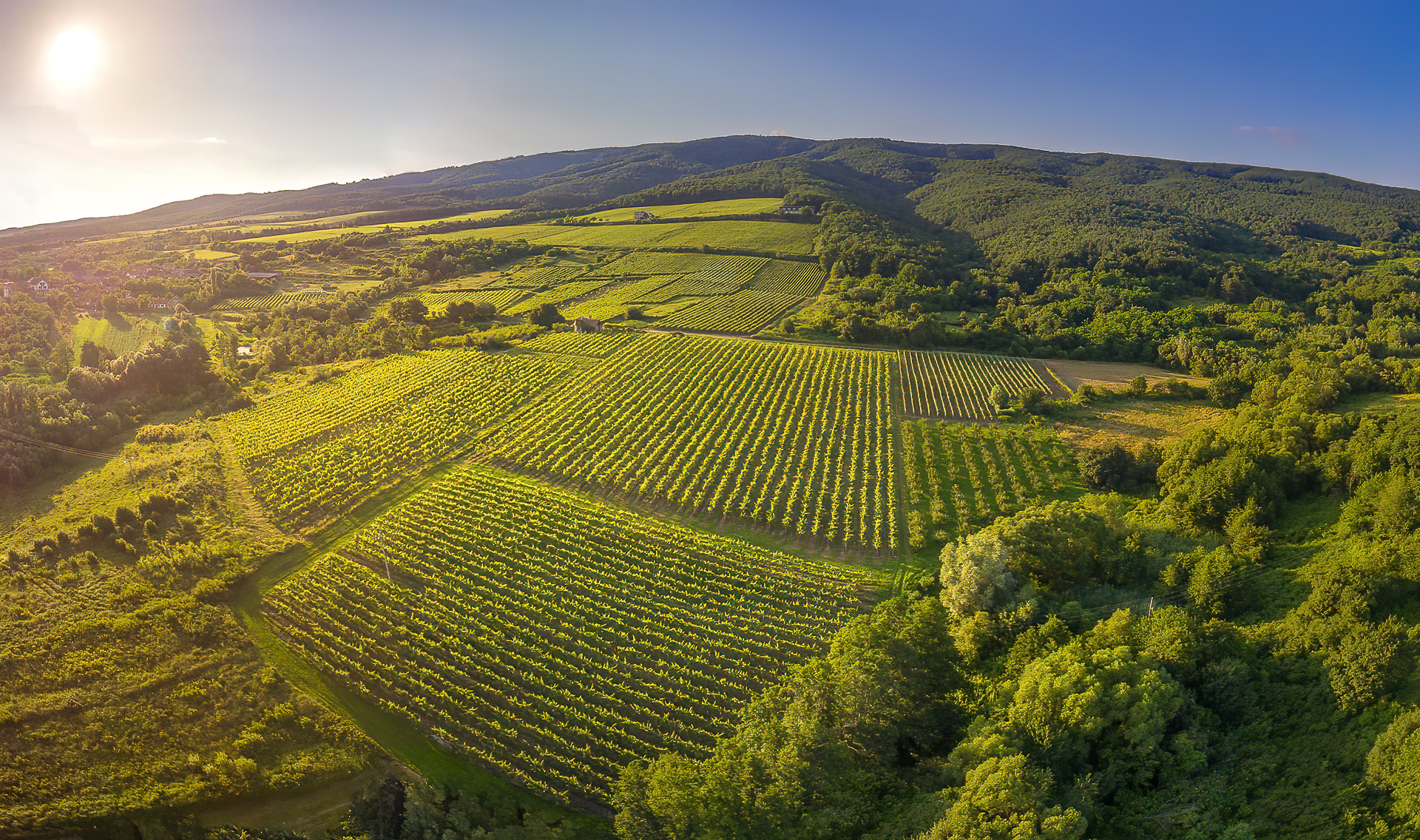 Svijet graševine, izvor TZ Požeško-slavonske županije