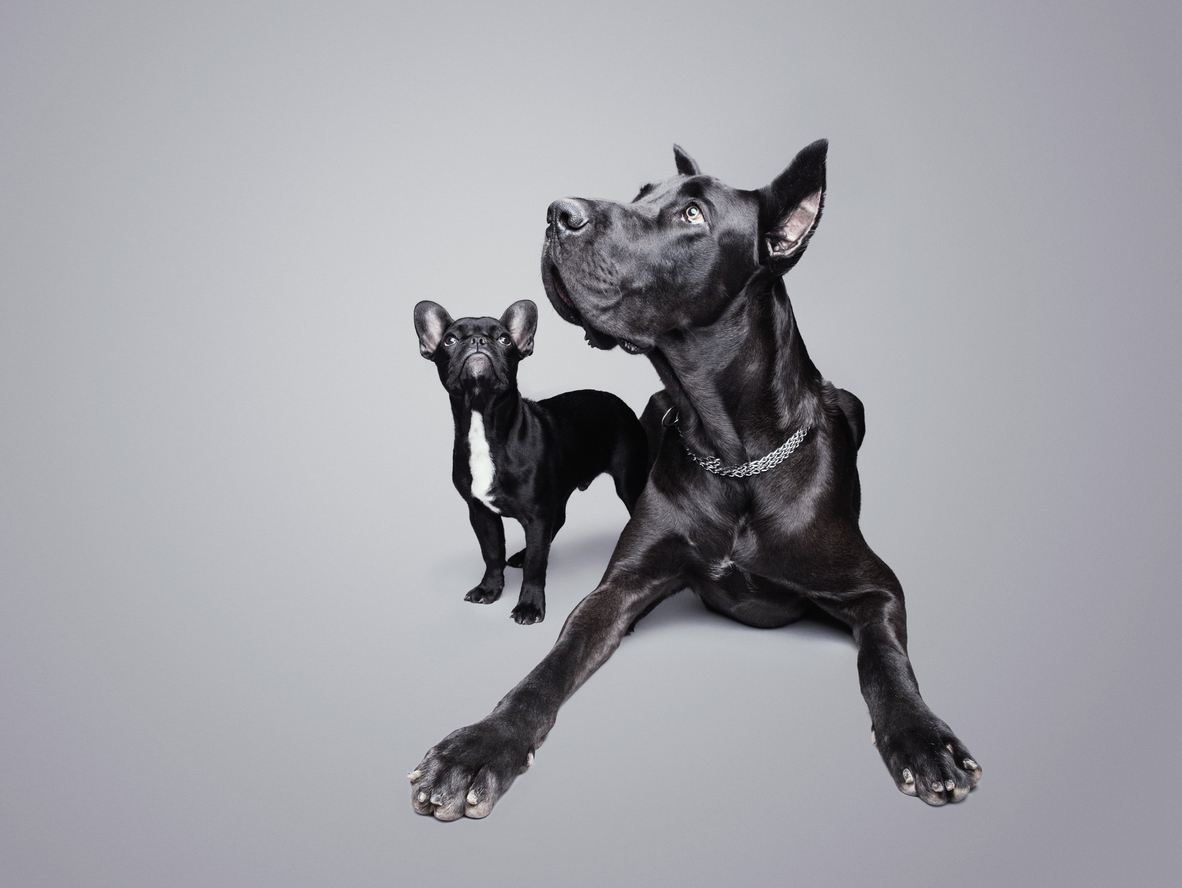 FOTO: iStock