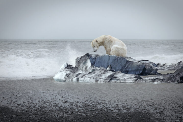 Foto: iStock