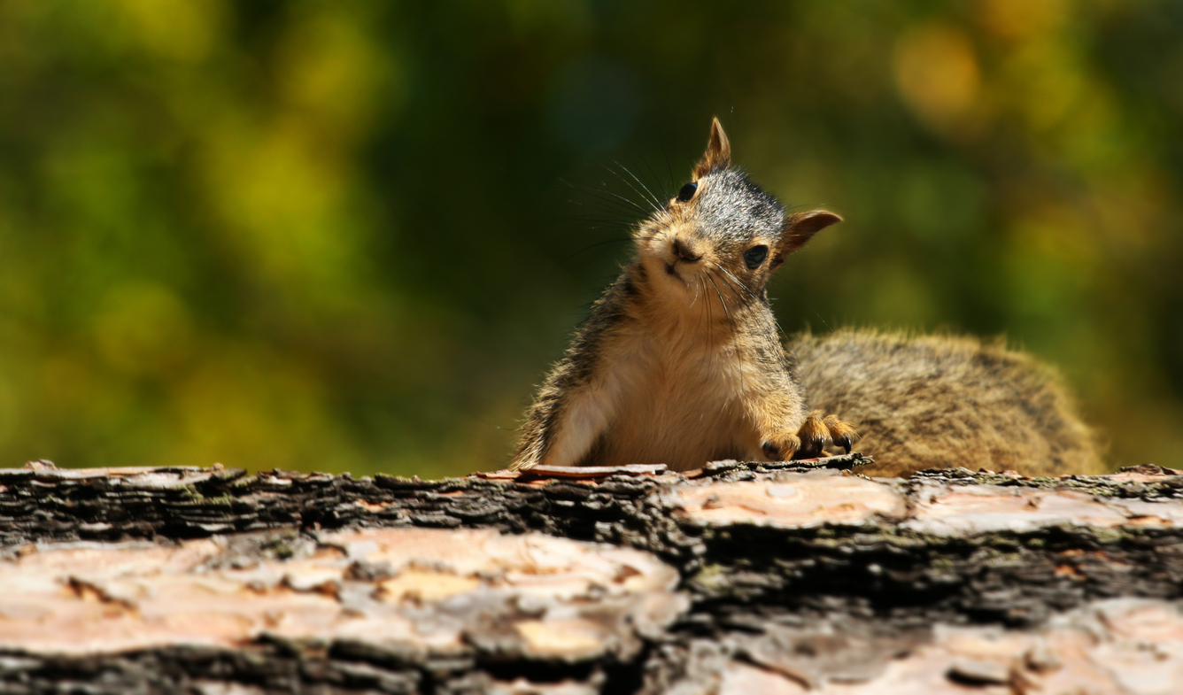 FOTO: iStock