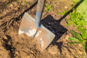 Foto: iStock