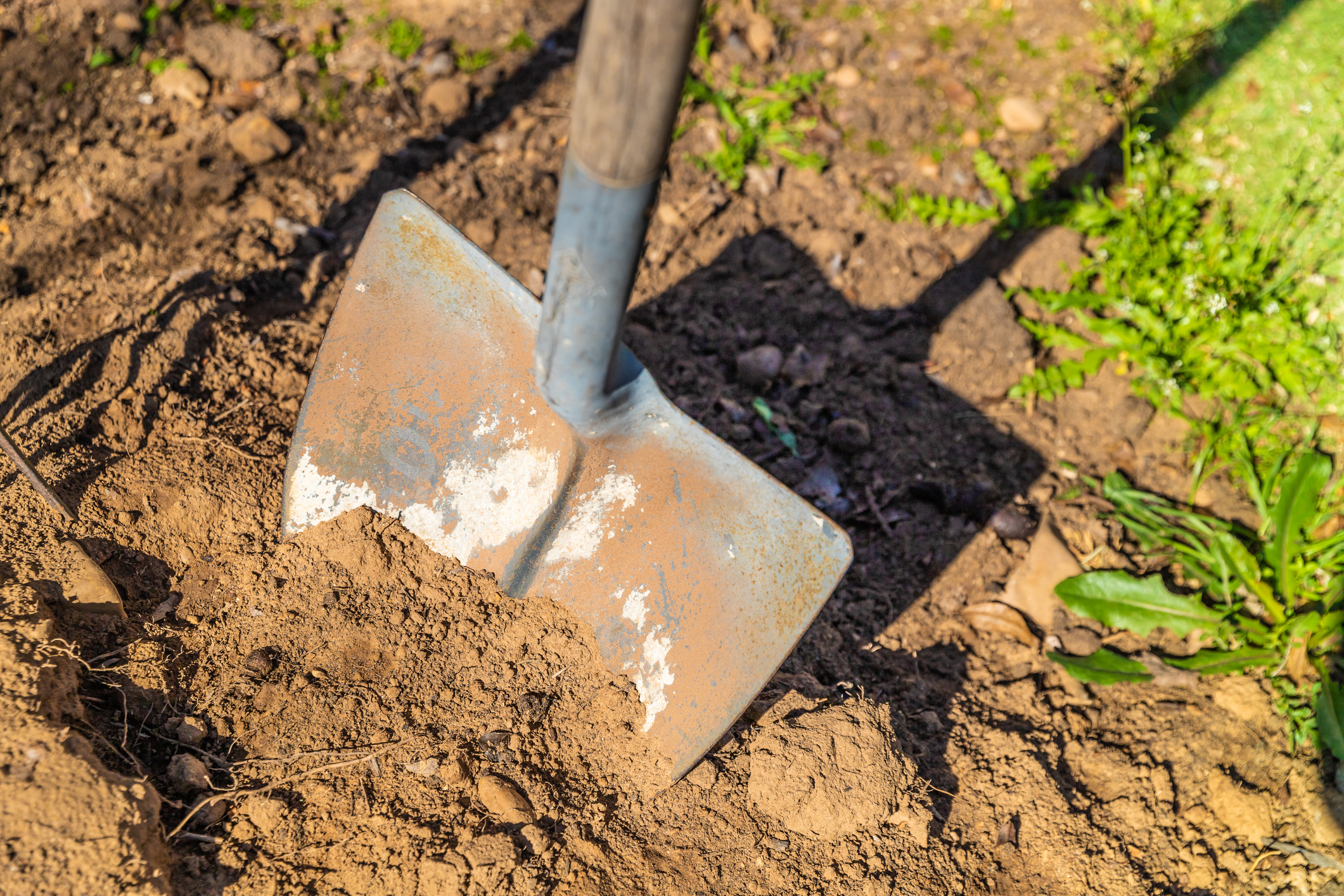 Foto: iStock