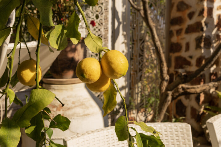 Foto: iStock
