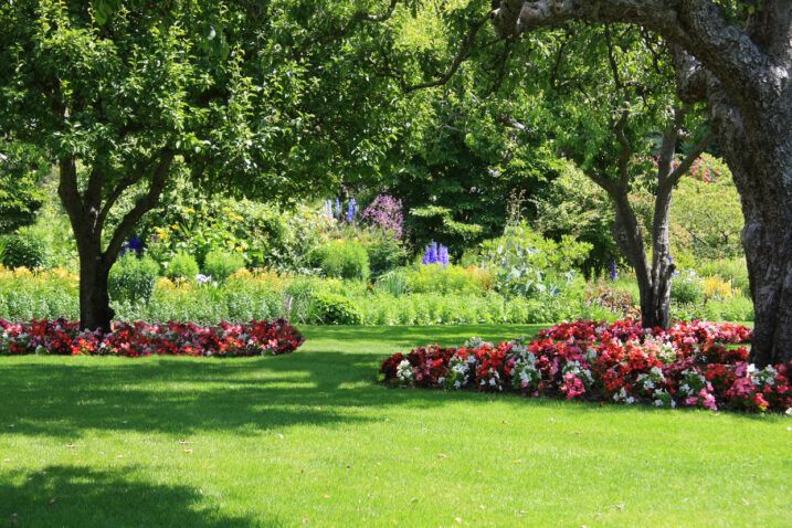 Foto: iStock