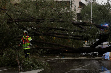 Nevrijeme rušilo stabla u Španjolskoj / Reuters