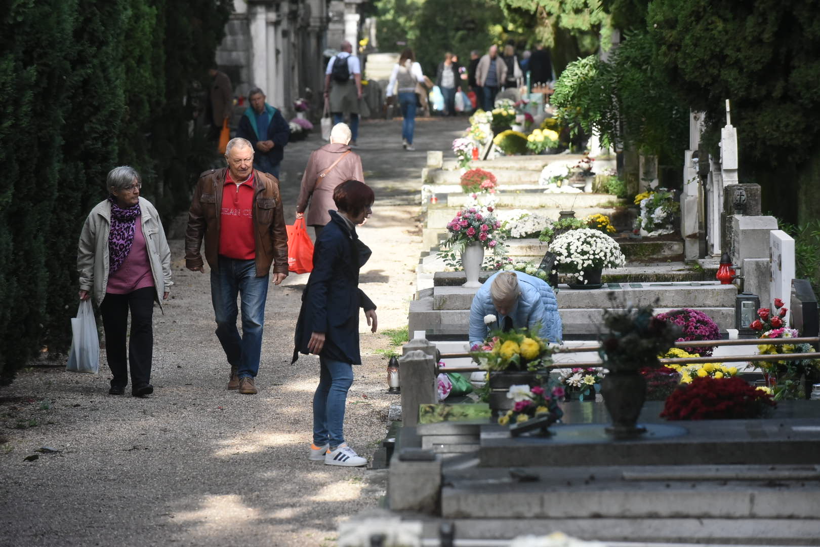 Foto: S. DRECHSLER