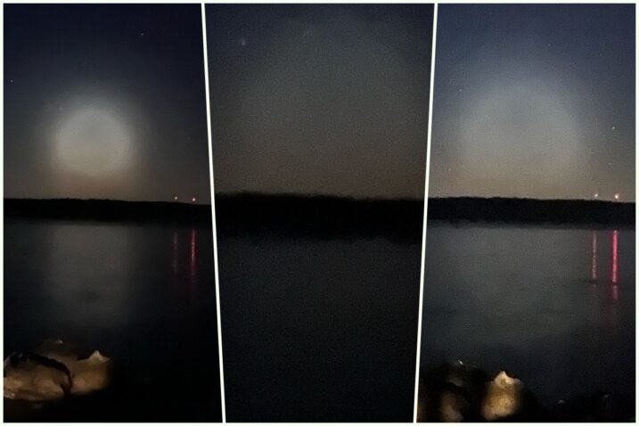 snimila čitateljica