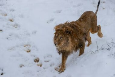 Foto Valdrin Xemaj/Reuters