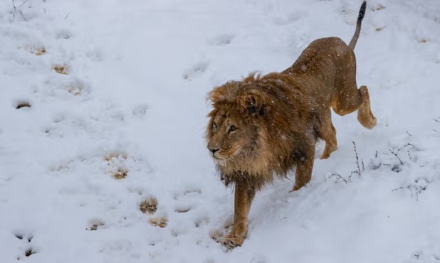 Foto Valdrin Xemaj/Reuters