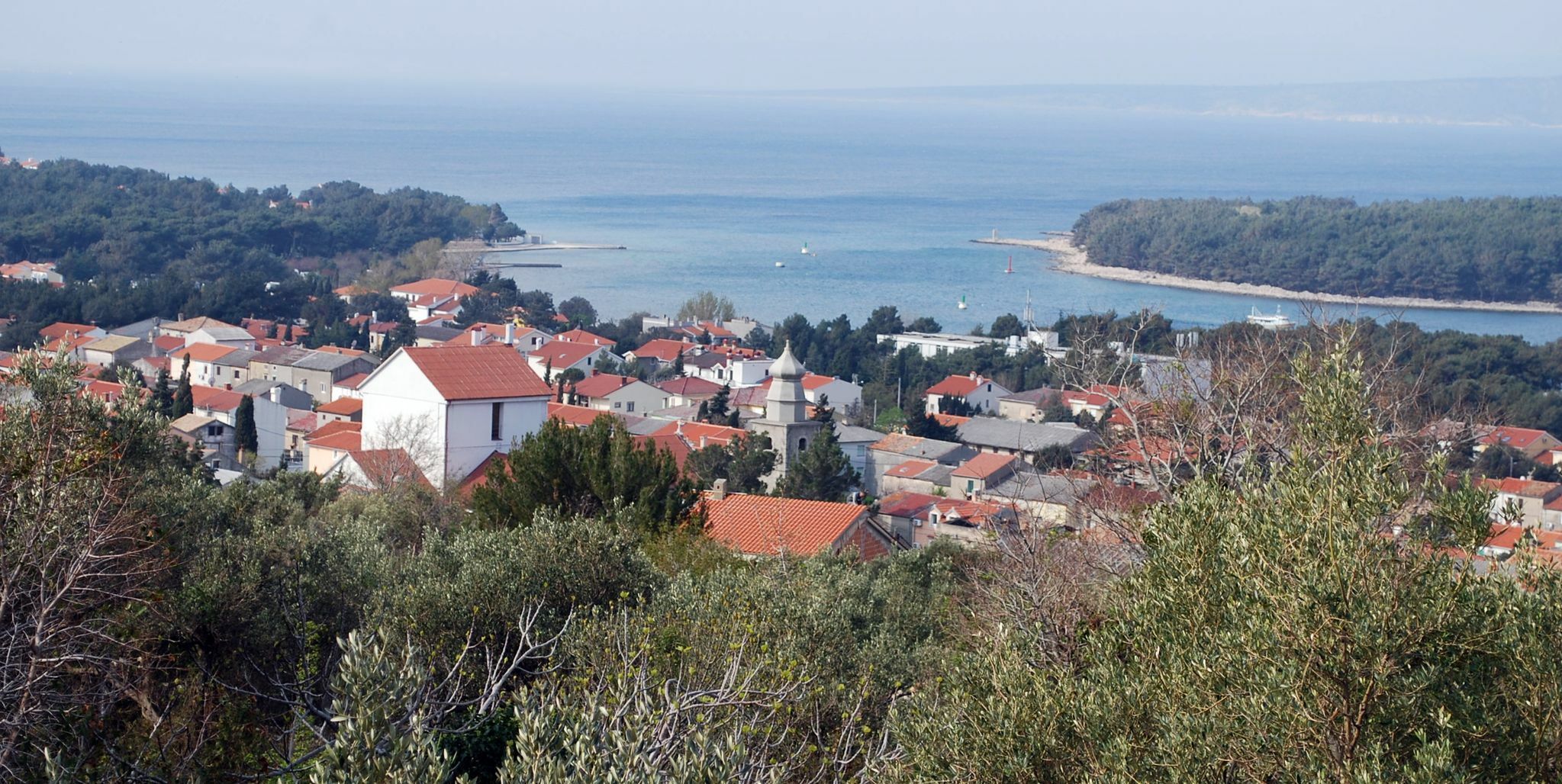 Foto Mladen Trinajstić