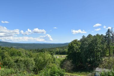 Ilustracija / Foto Angela Maksimović