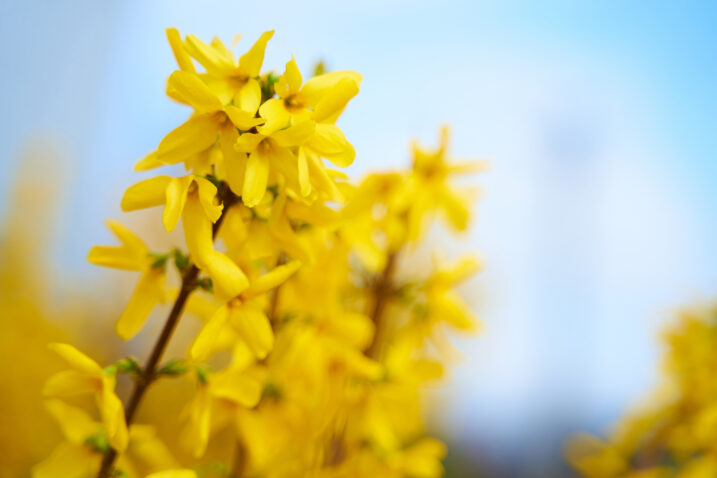 Foto: iStock