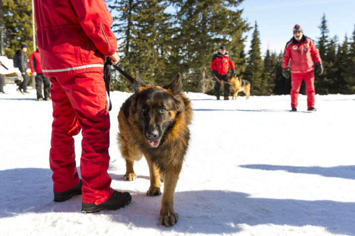 FOTO: iStock