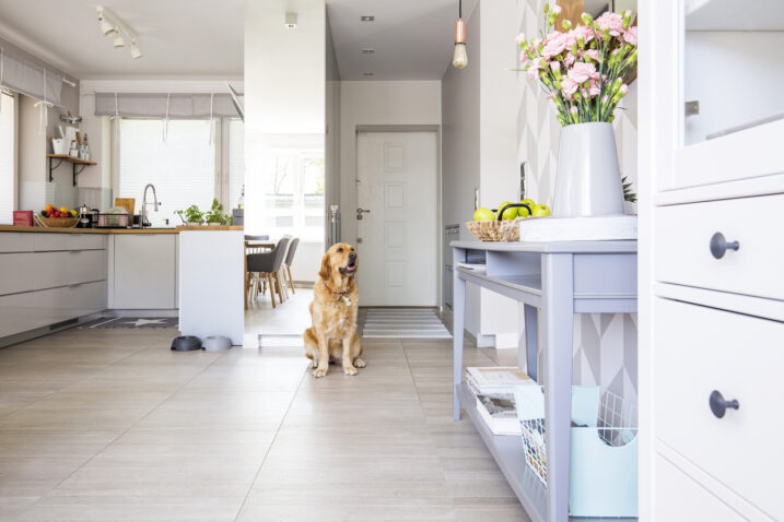 FOTO: iStock