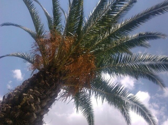 Foto Grad Opatija