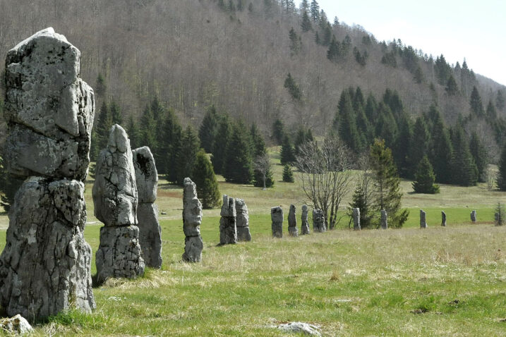 Foto Sergej Drechsler