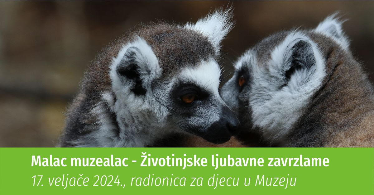 Ilustracija Prirodoslovni muzej Rijeka