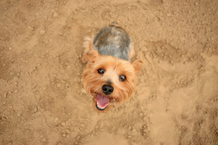 FOTO: iStock