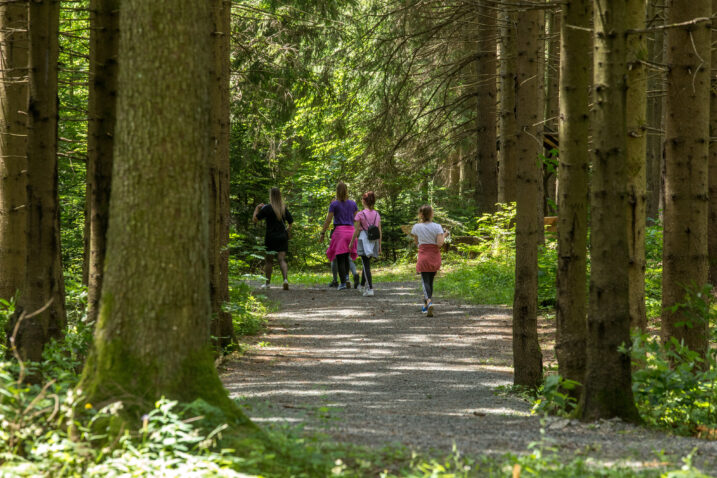 Park šuma Golubinjak, Foto: Nel Pavletic/PIXSELL