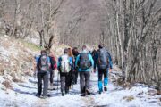 Planinari na pohodu po Opatijskoj planinarskoj obilaznici / Foto P. ŠKARON