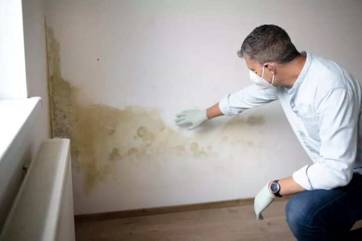 Plijesan, osim što je estetski problem, može uzrokovati i ozbiljne zdravstvene probleme
