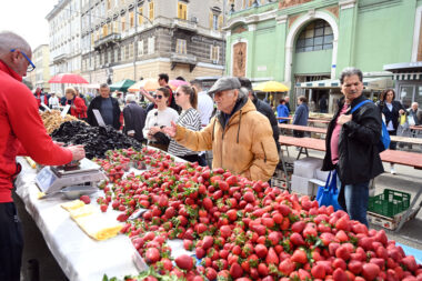 Foto: Milan Đekić