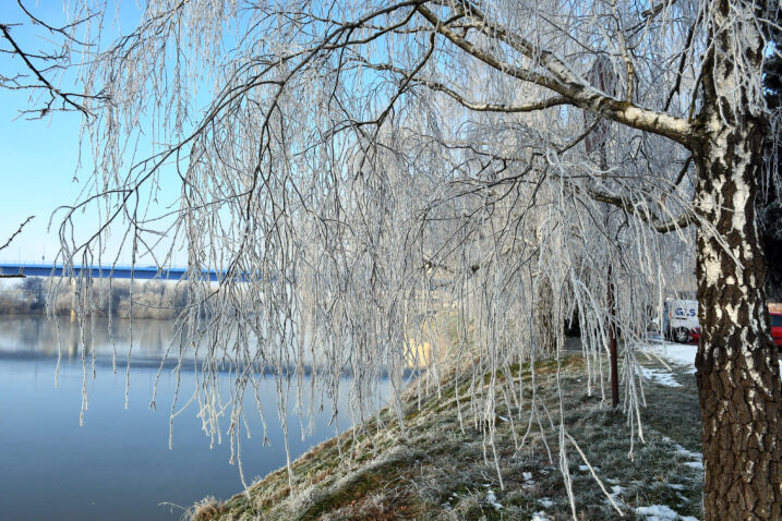 Ilustracija / Foto Nikola Cutuk/PIXSELL