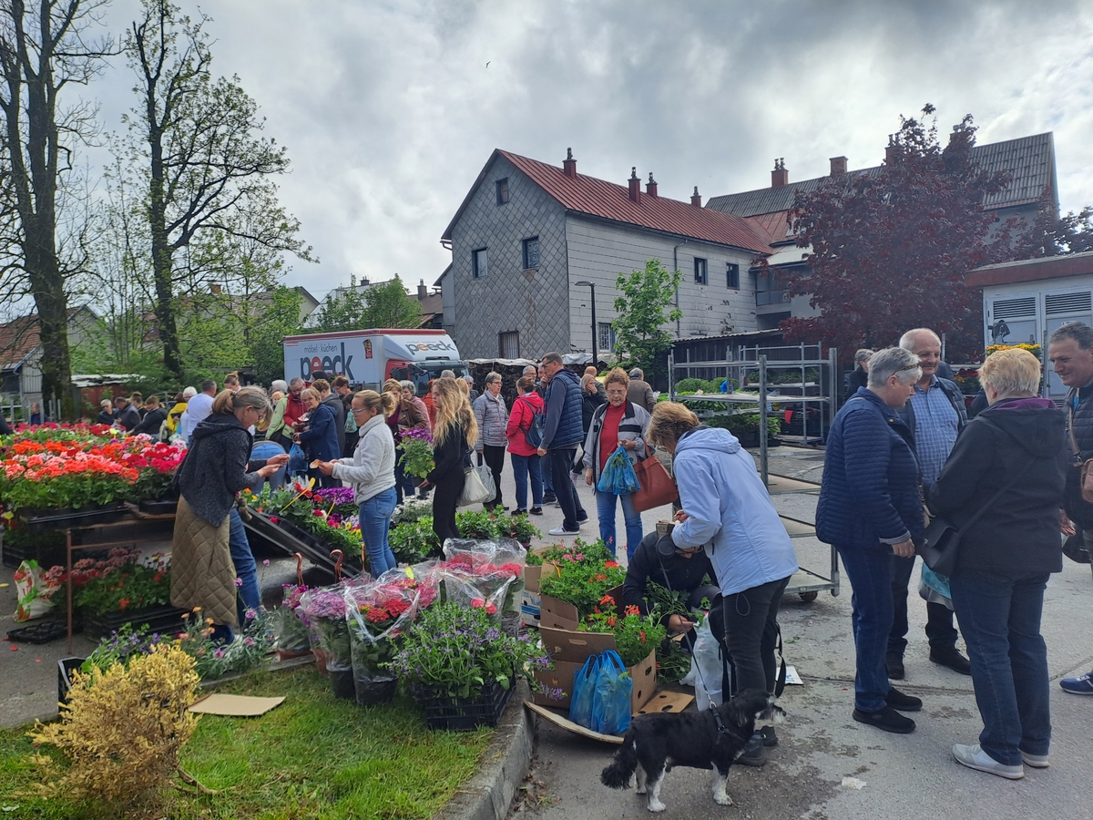 Foto Danijela Mihelčić