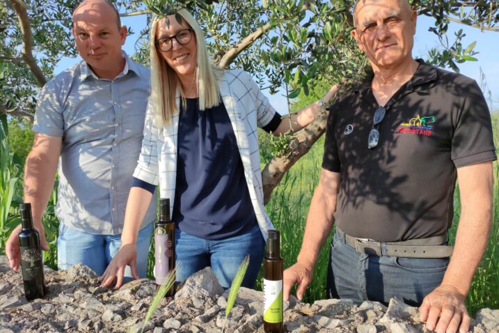 Ante Vulin, Danijela Lalin i Tomislav Čudina