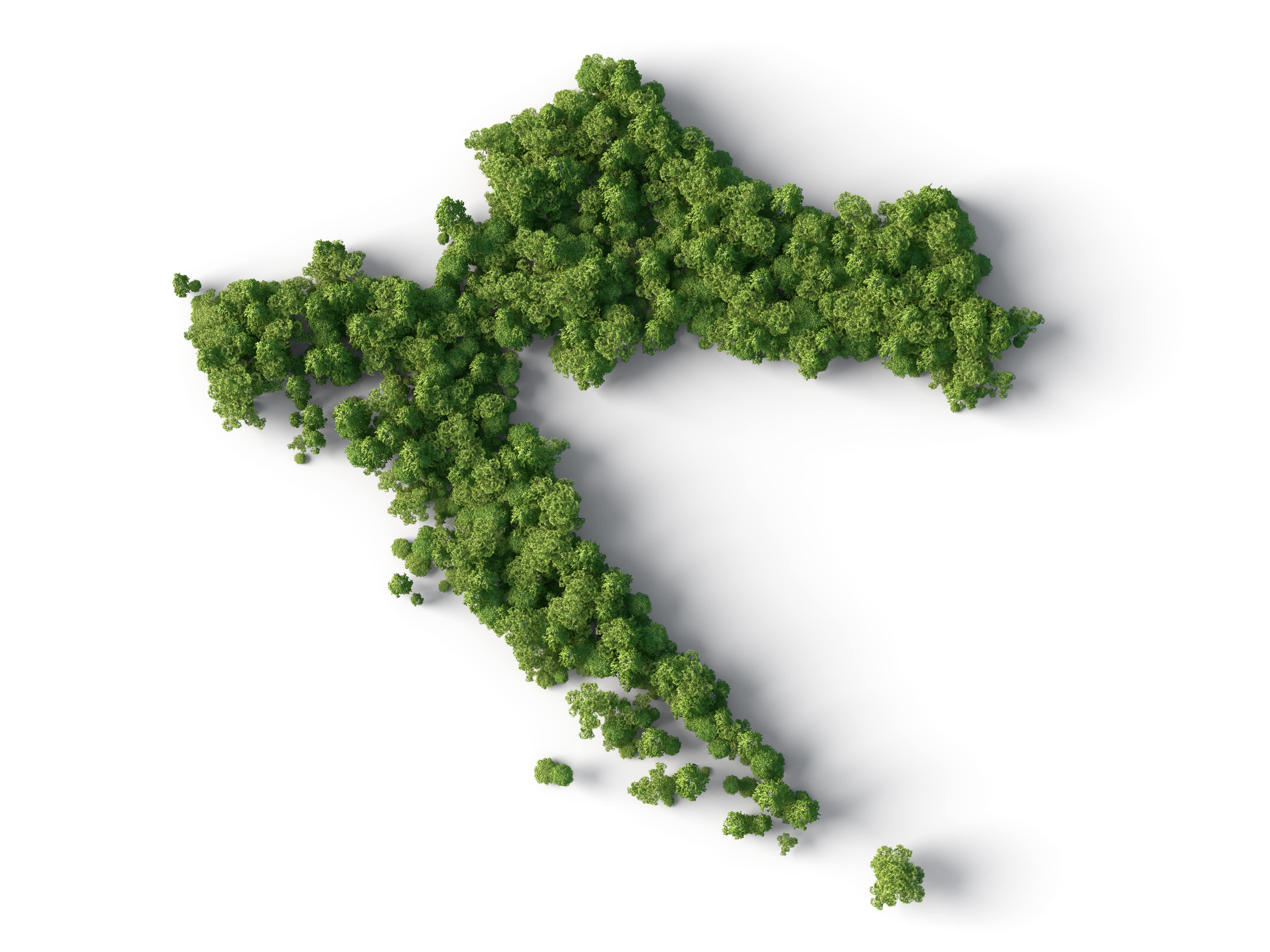 Foto: iStock