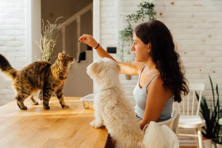 FOTO: iStock