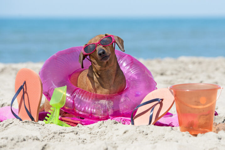 FOTO: iStock